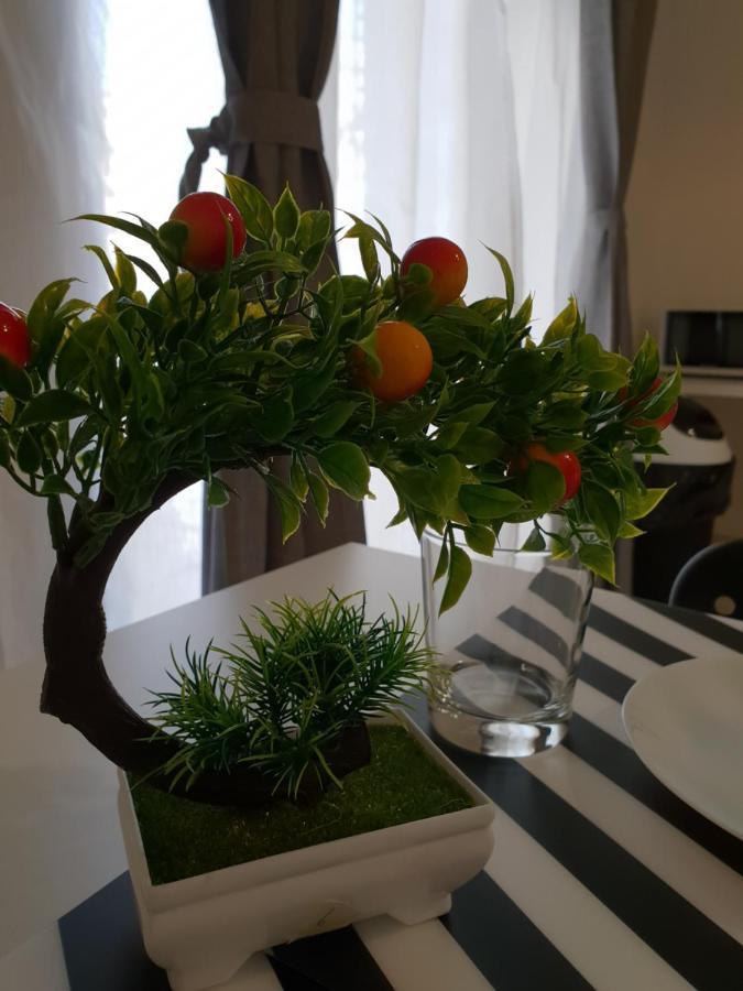 카타니아 Perla Sicula B&B 외부 사진