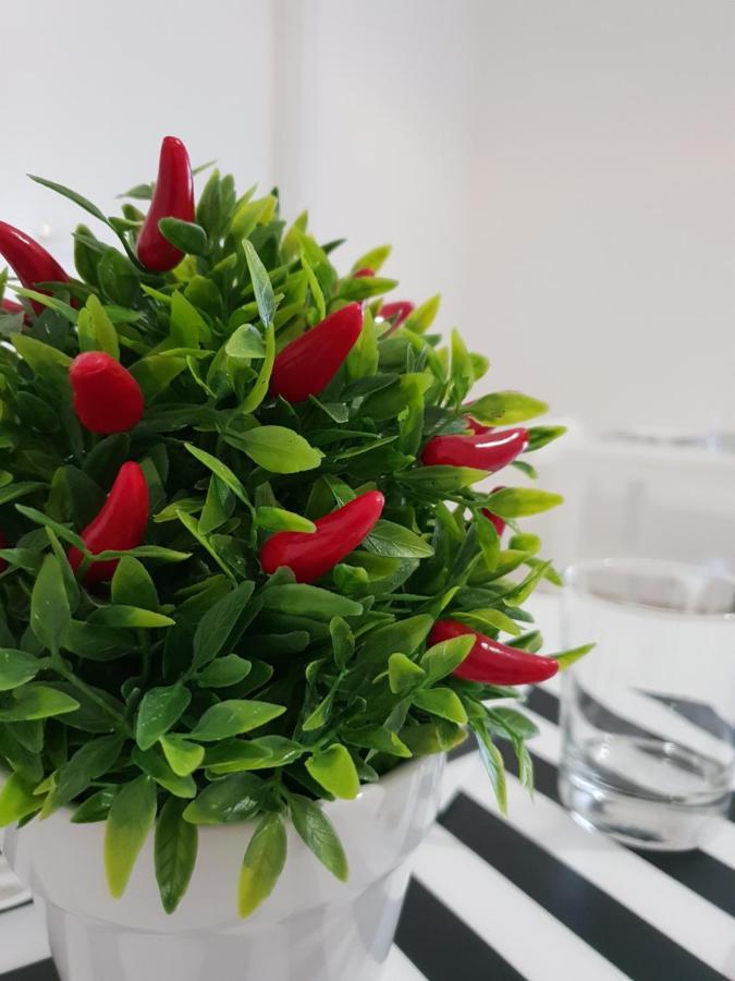 카타니아 Perla Sicula B&B 외부 사진