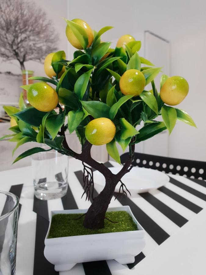 카타니아 Perla Sicula B&B 외부 사진