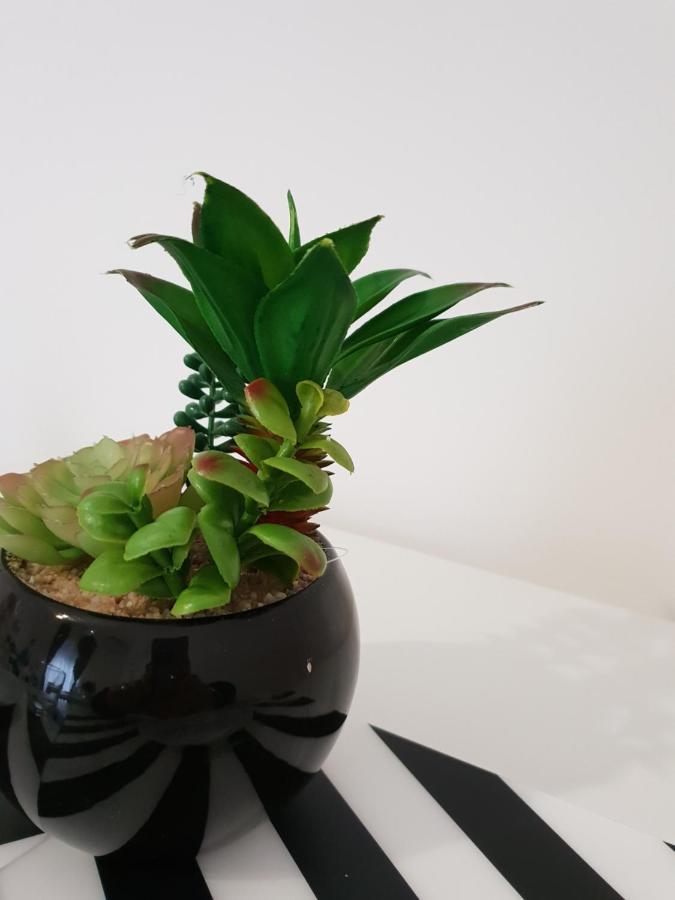 카타니아 Perla Sicula B&B 외부 사진